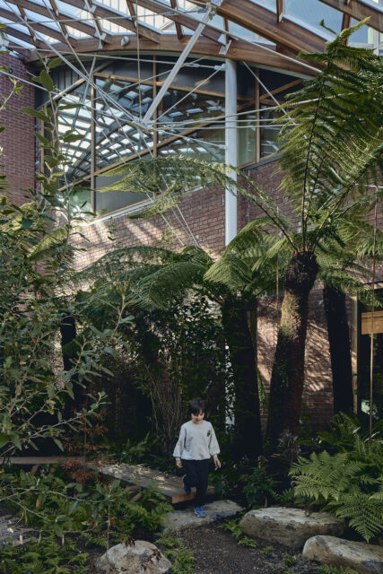 The Forest-University of Tasmania Hobart campus