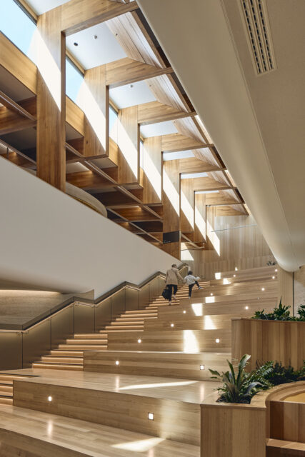 The Forest-University of Tasmania Hobart campus