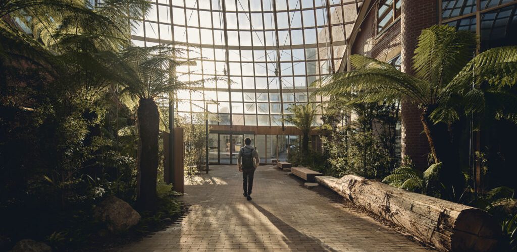 Inside Hobart’s new carbon-neutral campus designed as an urban forest