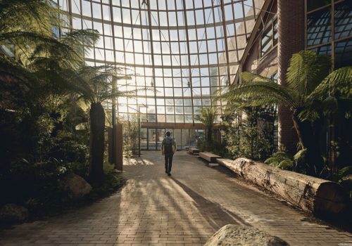 Inside Hobart’s new carbon-neutral campus designed as an urban forest