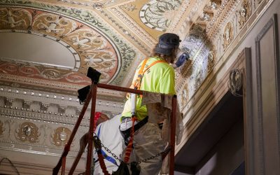 Waldorf Australia preservation